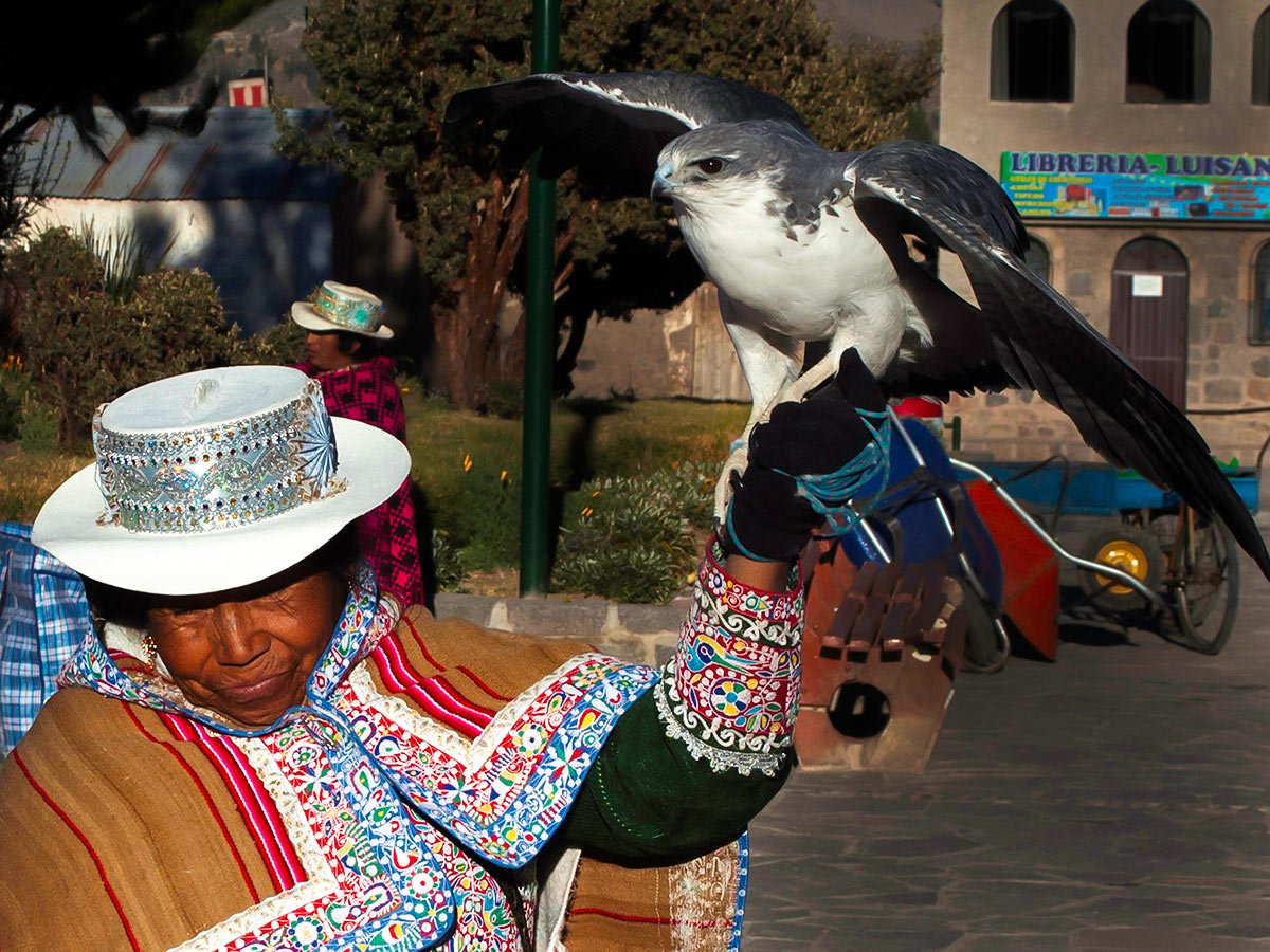 Quechua seen on Peru Active Tour