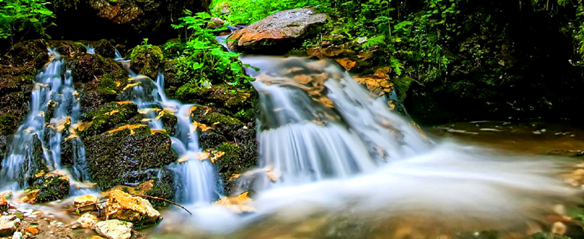 Rhodope Mountain Biking Tour