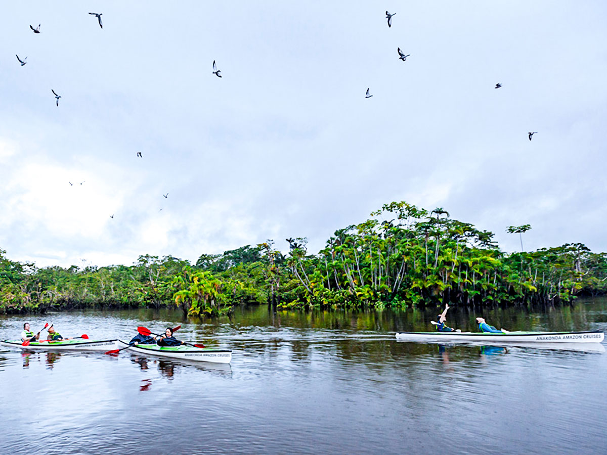 Beautiful river views seen from Anakonda Luxury Cruise ship on guided tour in Ecuador