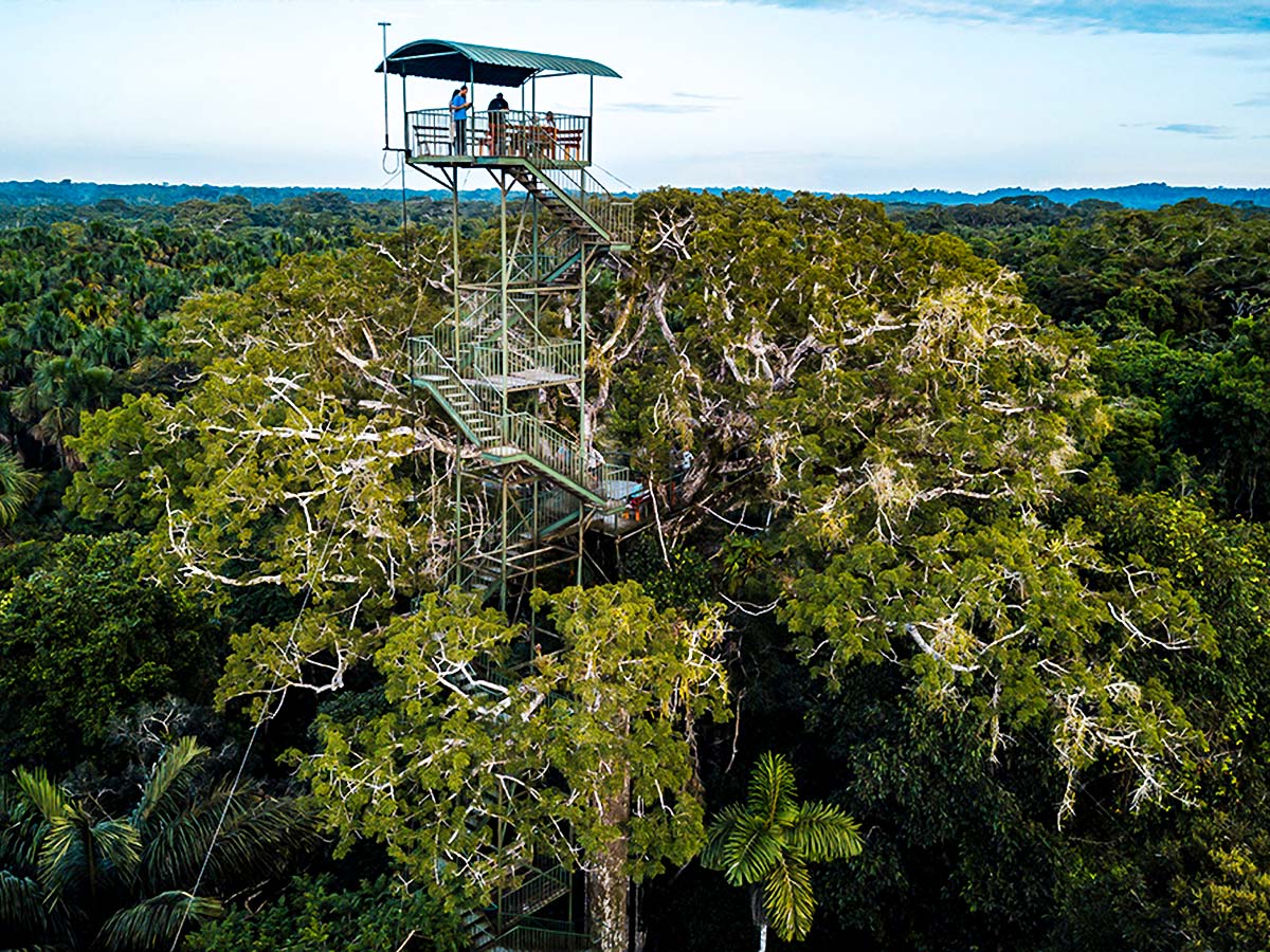 Watchtower above the Amazon on Anaknoda River Cruise in Ecuador