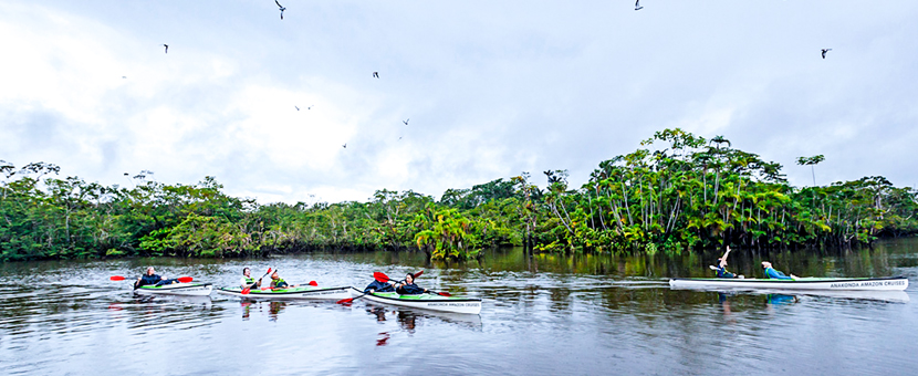 Amazon River Cruise