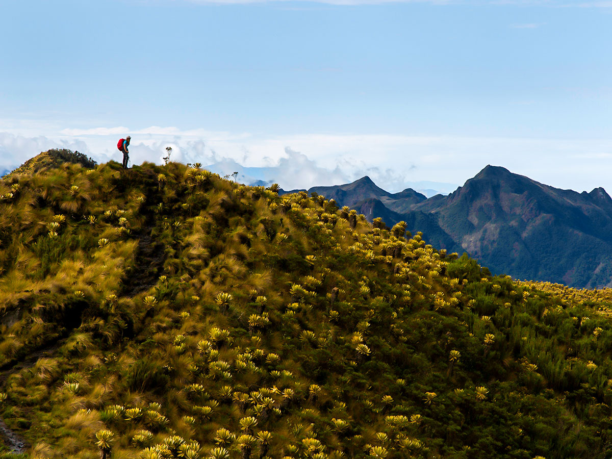 Colombia Off Road Tour is a great trek for adventure lovers seeking to see the best of Colombia