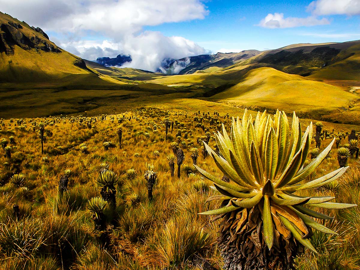 Colombia is a wonderful country for trekking lovers and can be explored on Colombia Off Road Tour