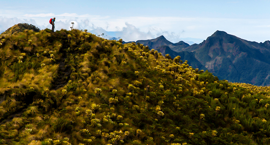 Los Nevados, Tayrona Beaches and the Lost City