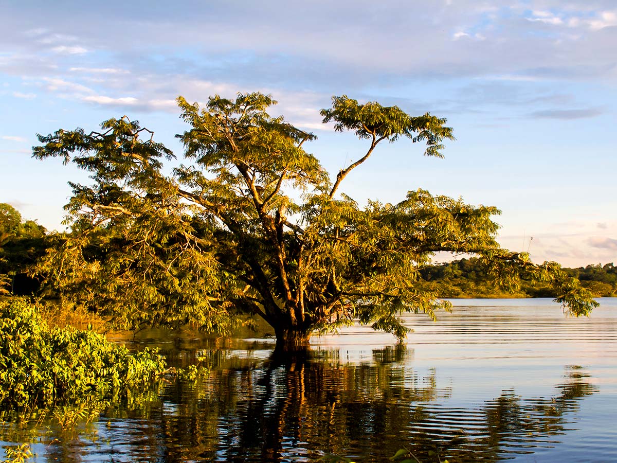 Amazon River is one of the highlights of Ecuador and can be visited on Great Ecuador Tour