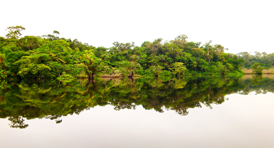 The Best of Ecuador