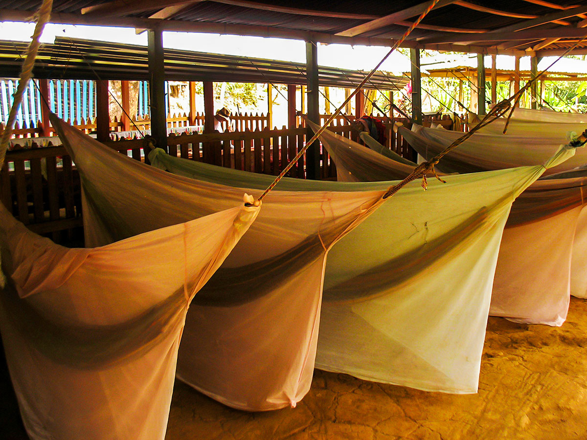 Lost City Trek in Colombia is a wonderful trail and a must see