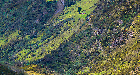 Paramillo del Quindío Trek