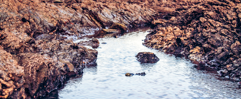 South West Coast Path: South Cornwall Coast