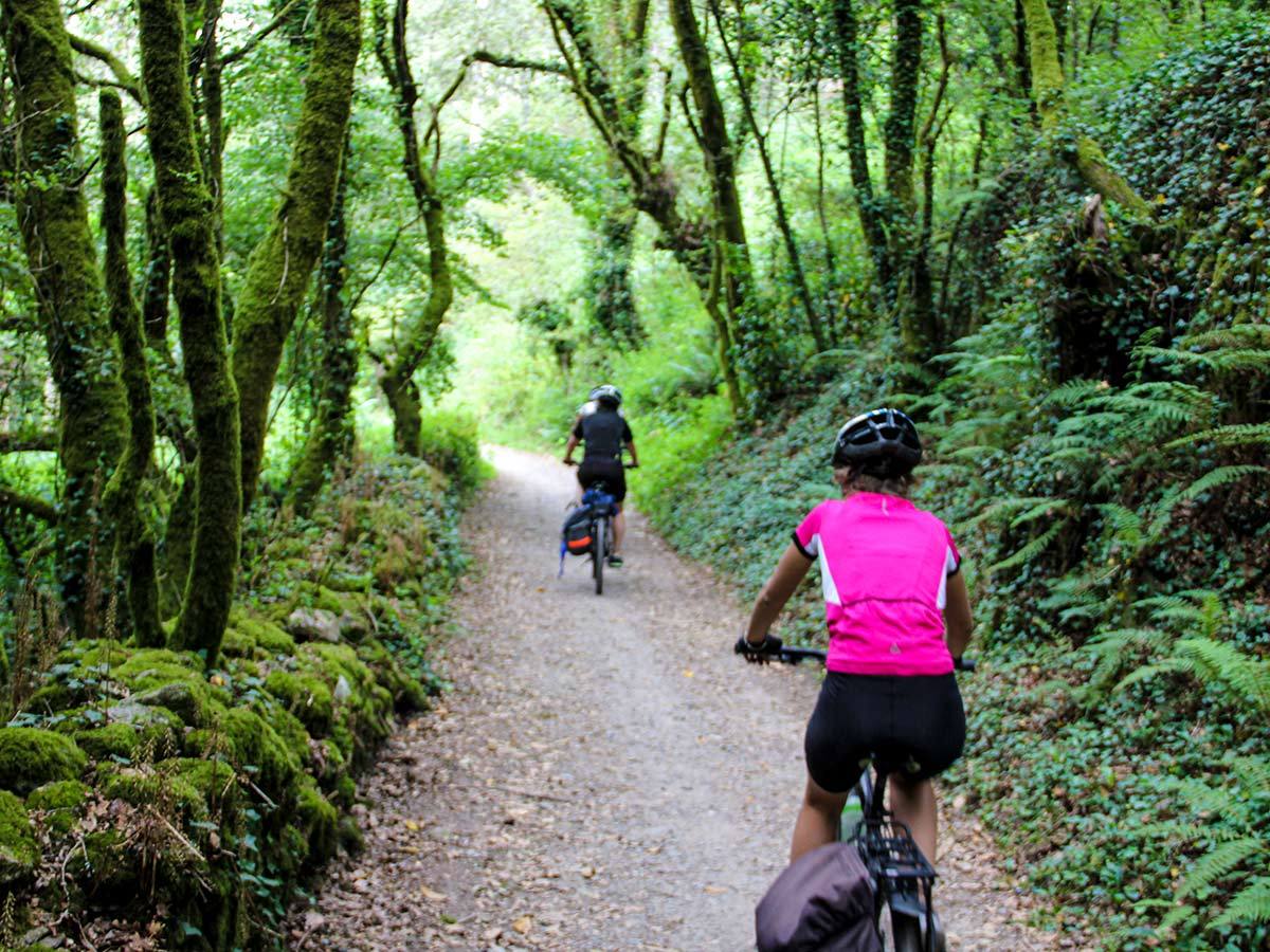 Spain Portugese Camino Biking Riding through the lush forests on Camino de Santiago Portugese Way tour