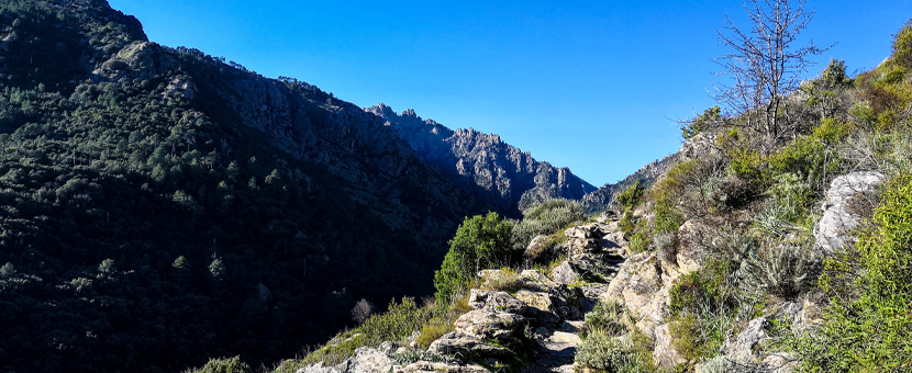 Corsica Family Donkey Trek