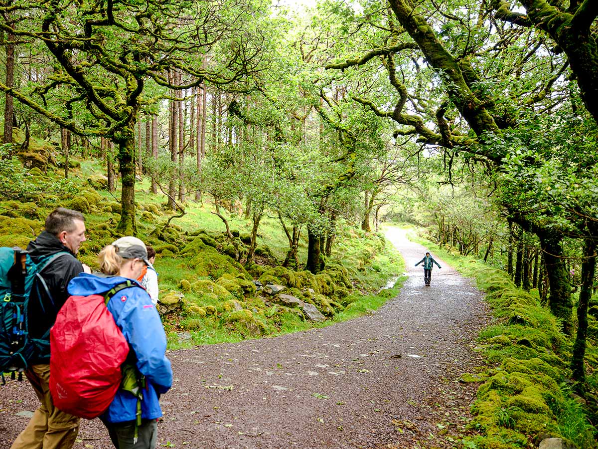 Trekkers enjoing the Deluxe Hiking Kerry Mountains tour in Ireland