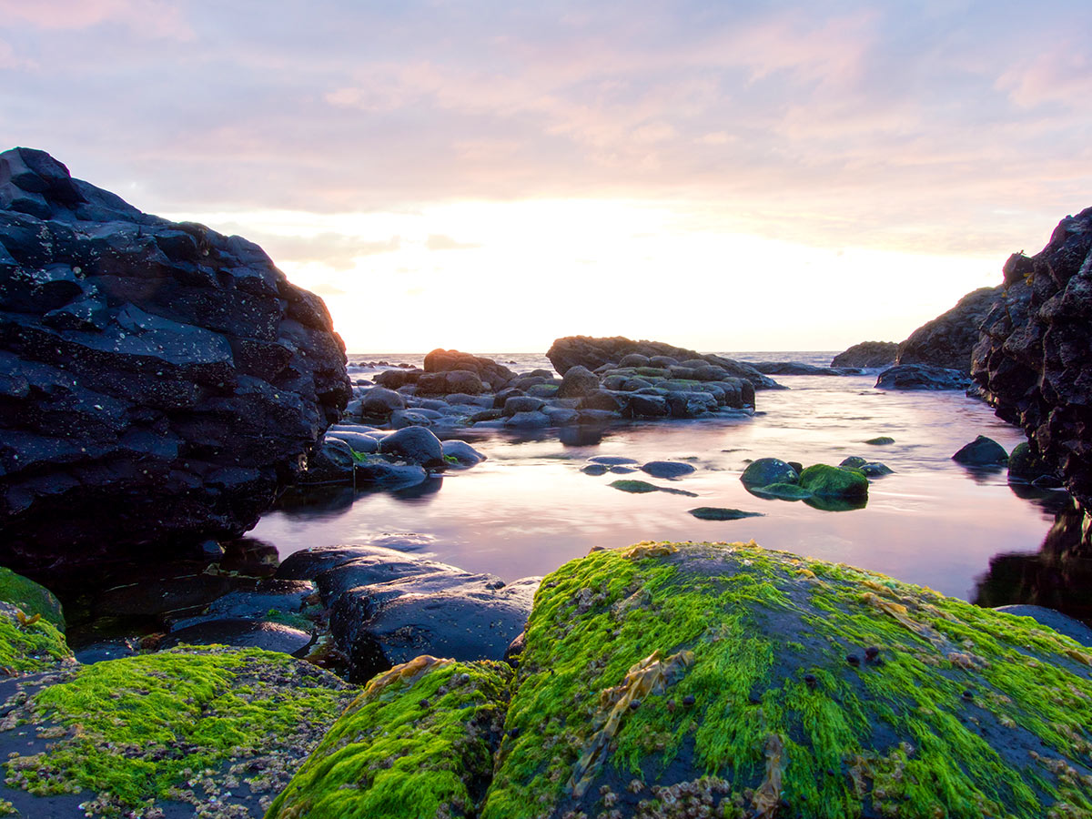 Causeway is one of few places you get to visit while on Family Adventure Tour in Ireland