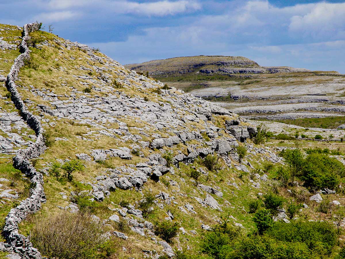 Hiking Island Hopping Tour has amazing views of the Burren