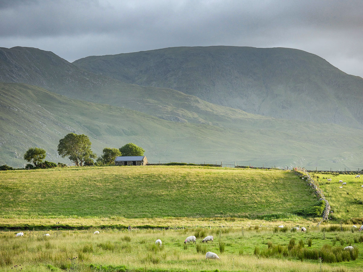 Hiking Island Hopping Tour include hiking in Galway