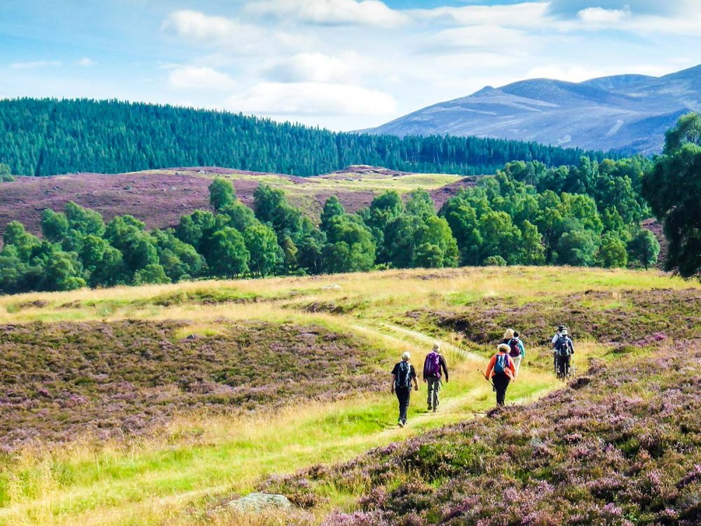 National Parks in the UK Walking Tour (England and Scotland)