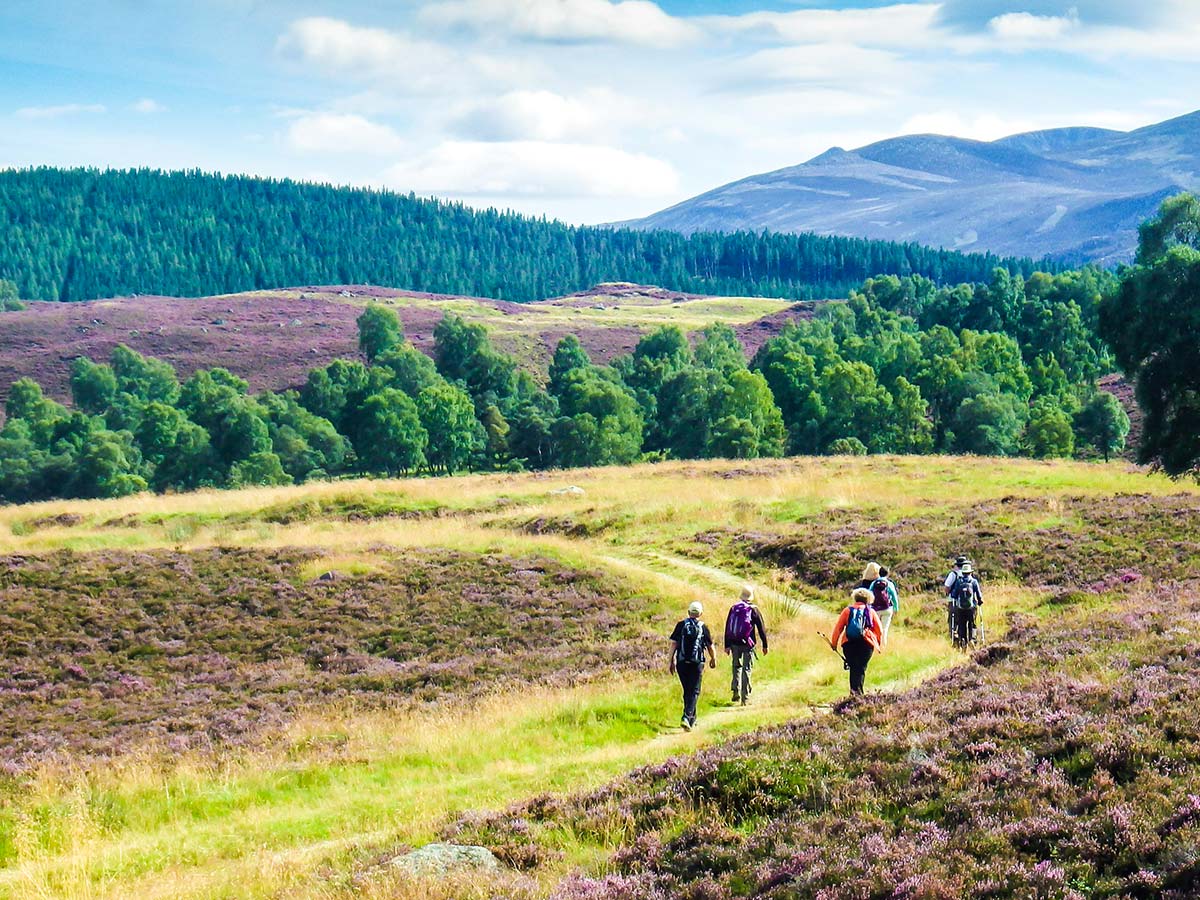 Group of hikers on a National Parks of the UK Guided Walking Tour in Scotland