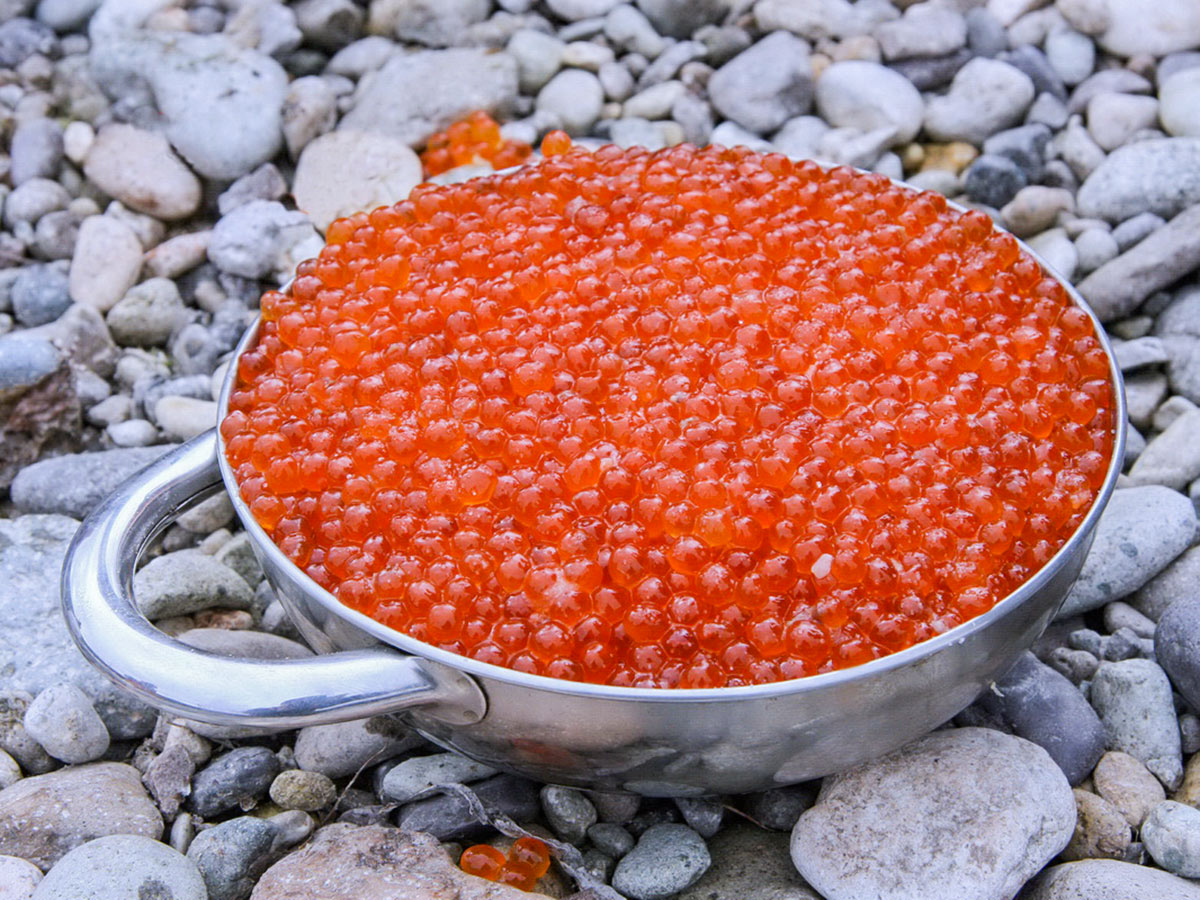Bowl full of salmon caviar on Expedition to Shantar Islands Tour in Russia