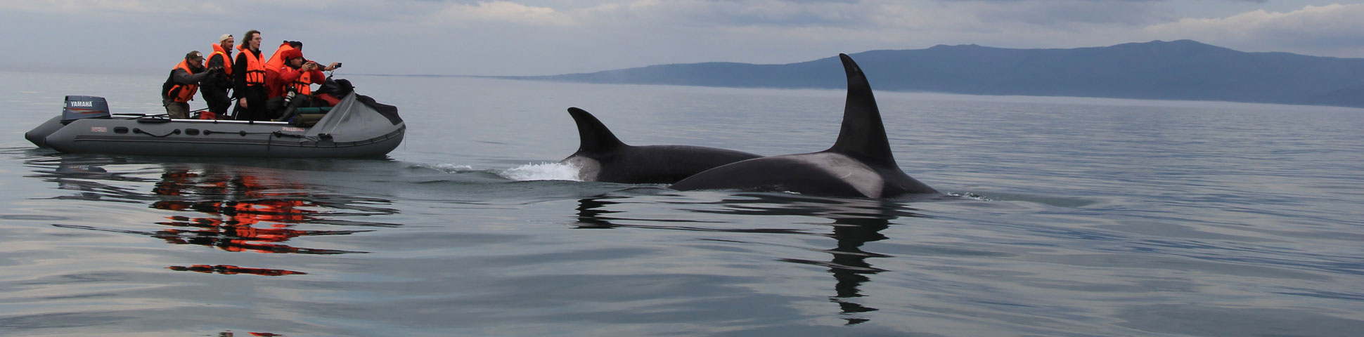 Expedition to the Shantar Islands