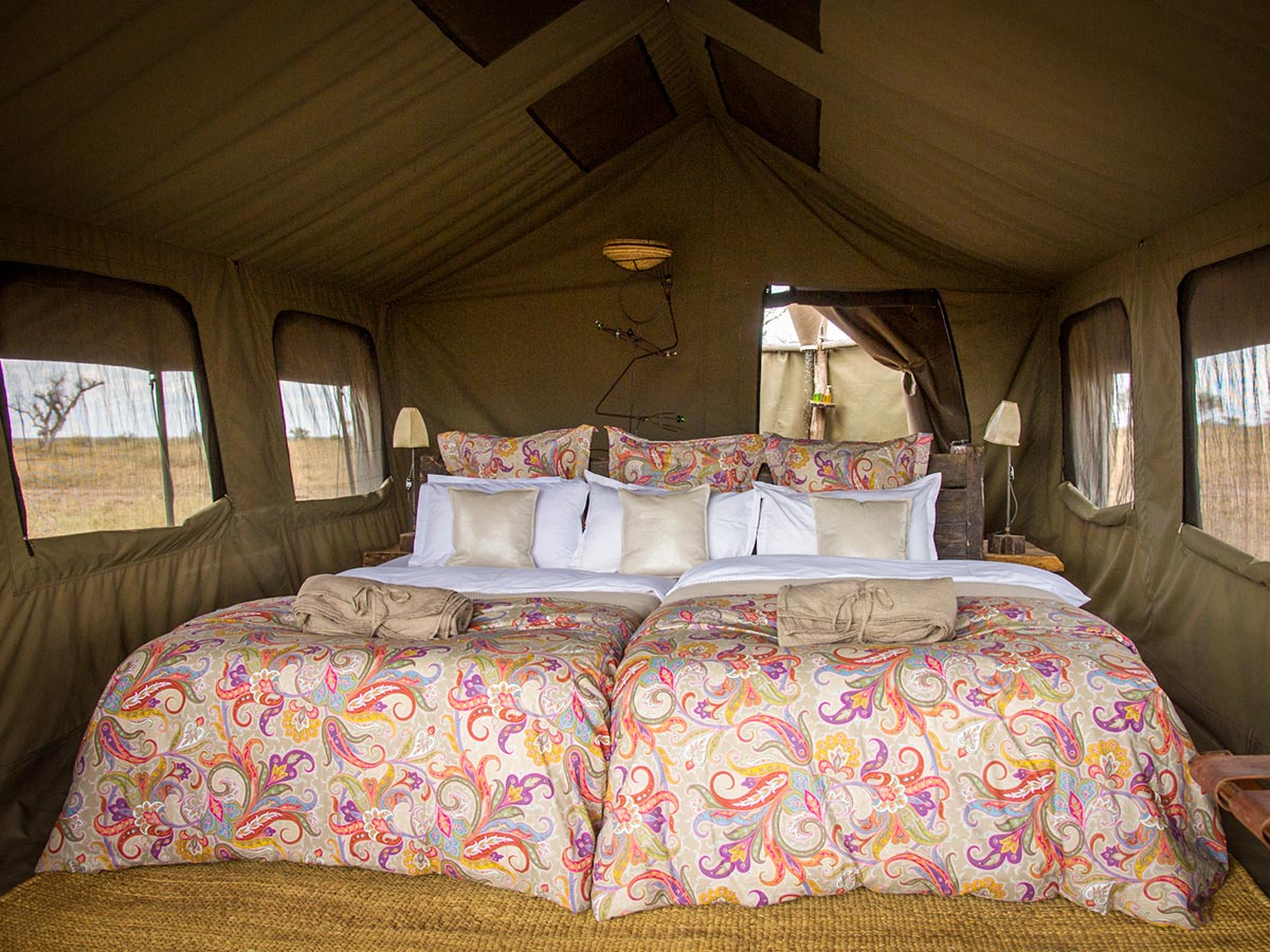 Comfortable tent set for tourists on safari in Tanazania and Kenya