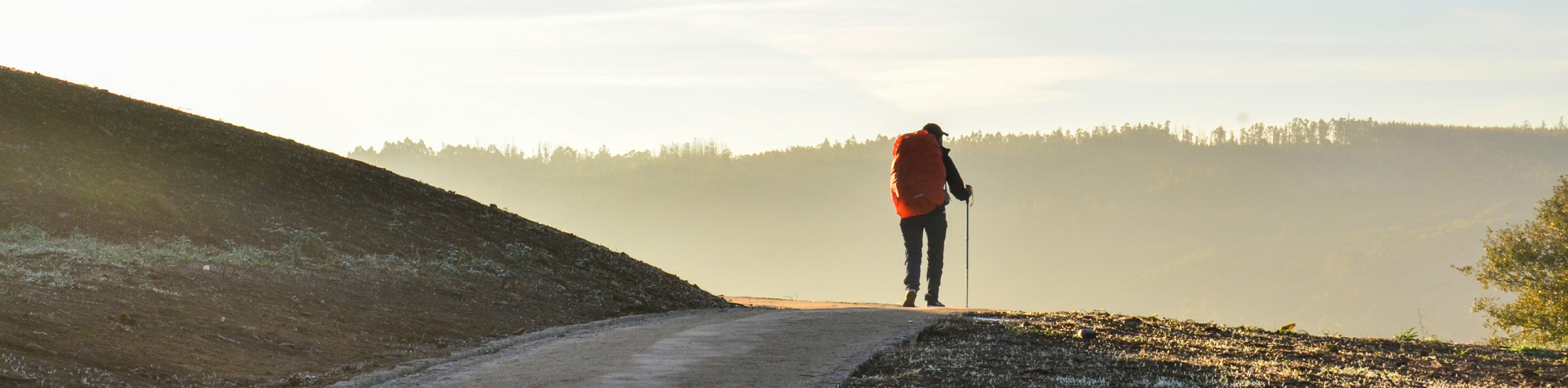 Cycling the full French Camino