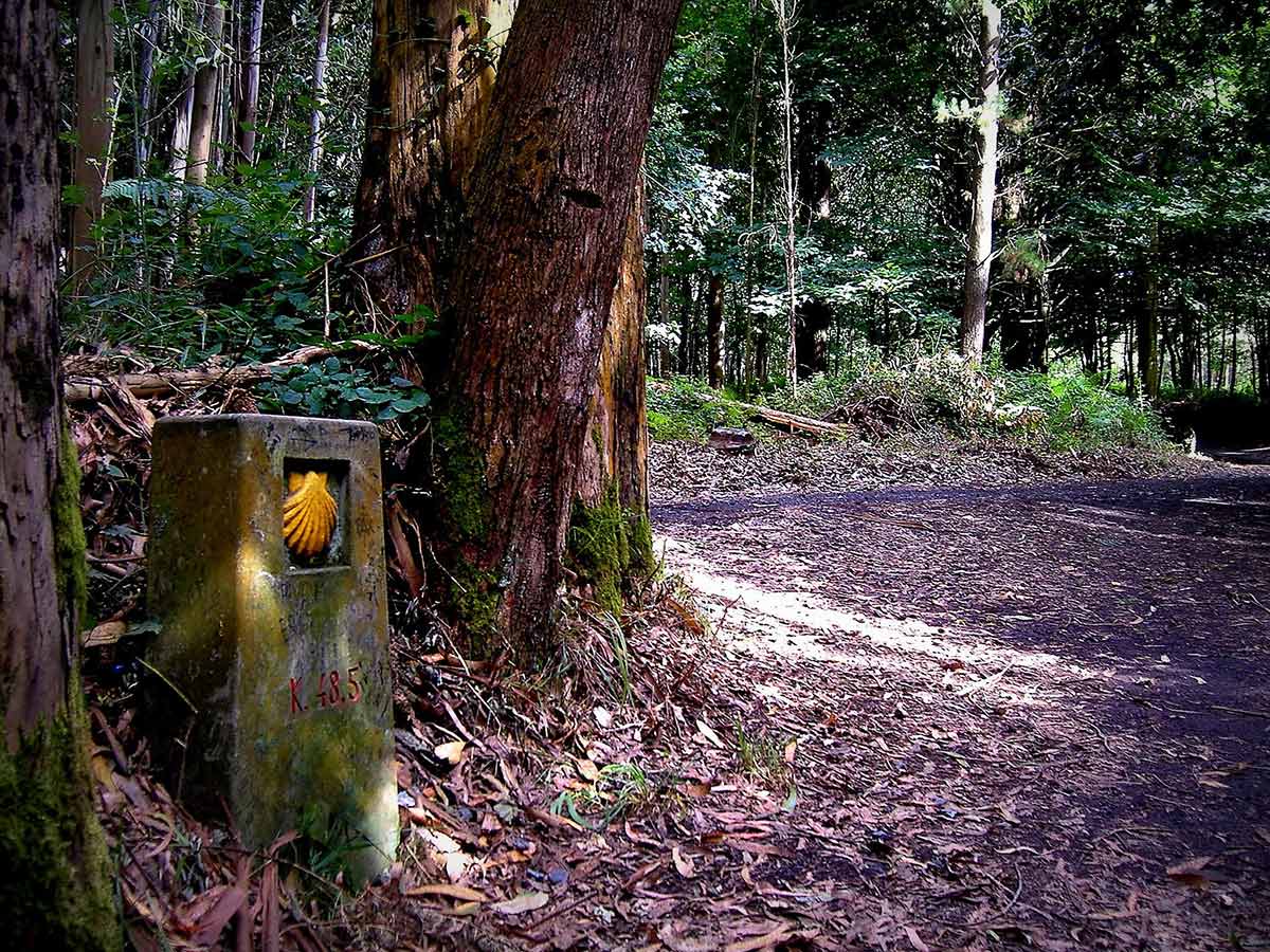 Good signage along the Camino de Santiago trail includes yellow shelfish signs