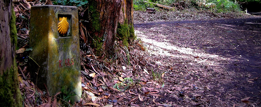 Portuguese Coastal Camino One-week Luxury walk