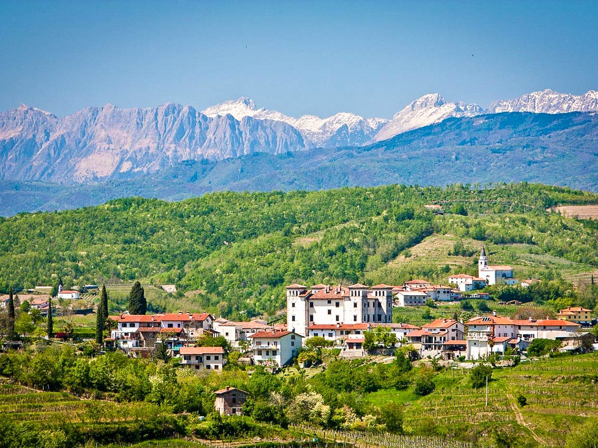 Goriska Brda wineyards seen on Discover Slovenian Alps Tour
