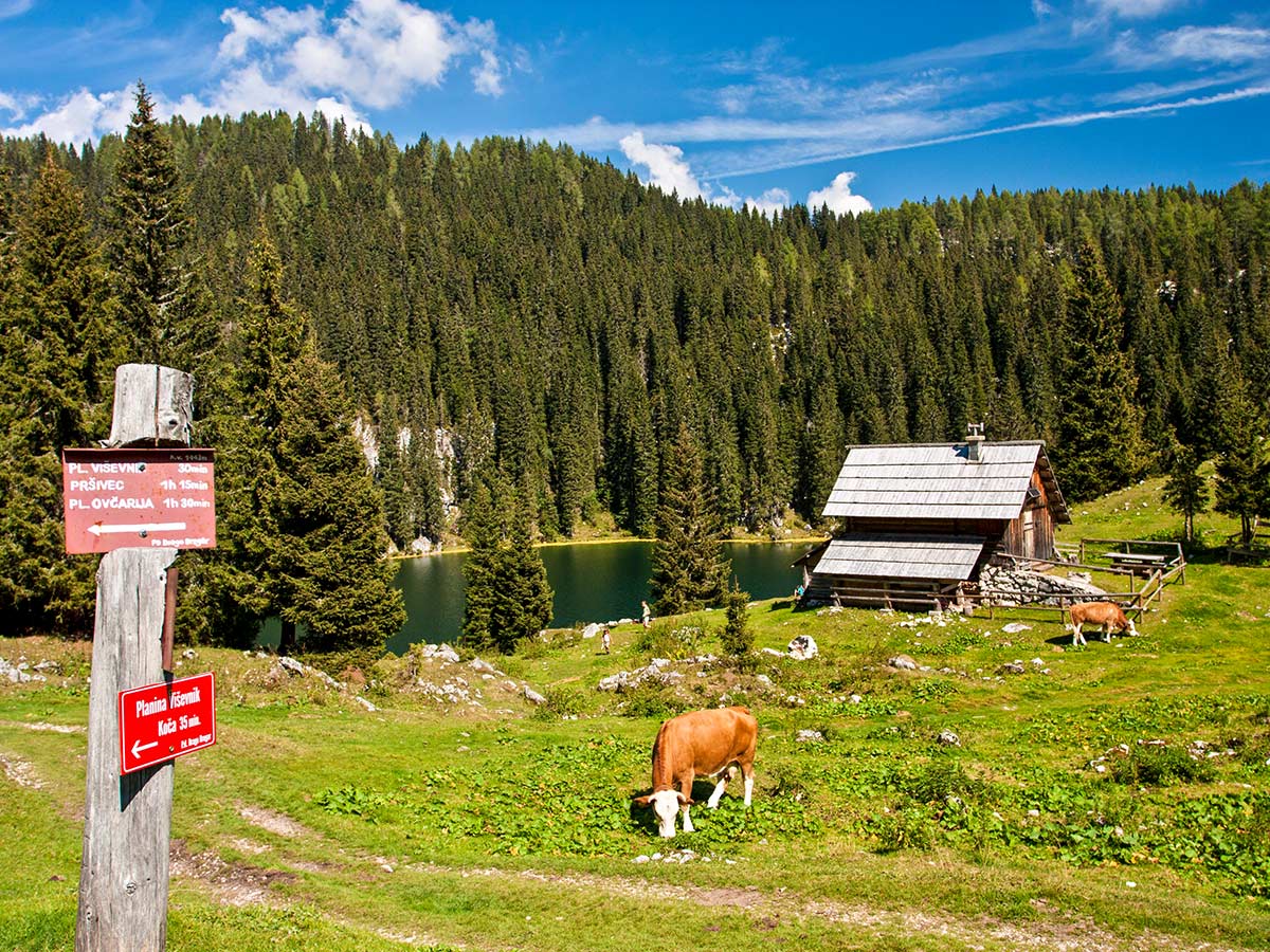 Forest lake and a hut near Prsivec seen on Discover Slovenian Alps Tour