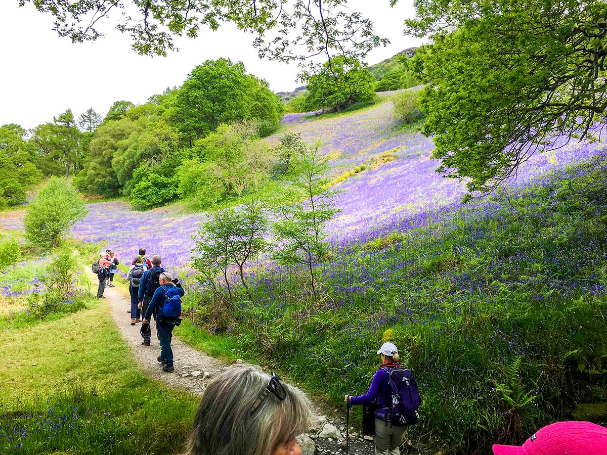 Group of walkers trekking on West Highland Way walking tour