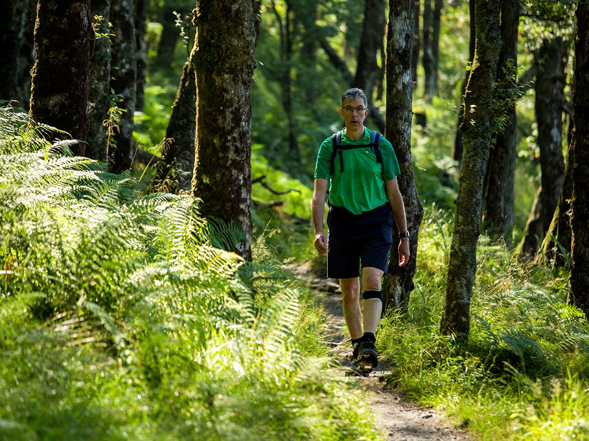 Walking through the woods on West Highland Way walking tour in Scotland