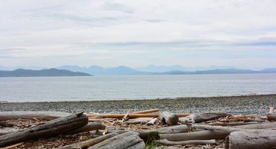 Island Joy Rides Self guided biking in Vancouver Island Beautiful views of Quadra Usland