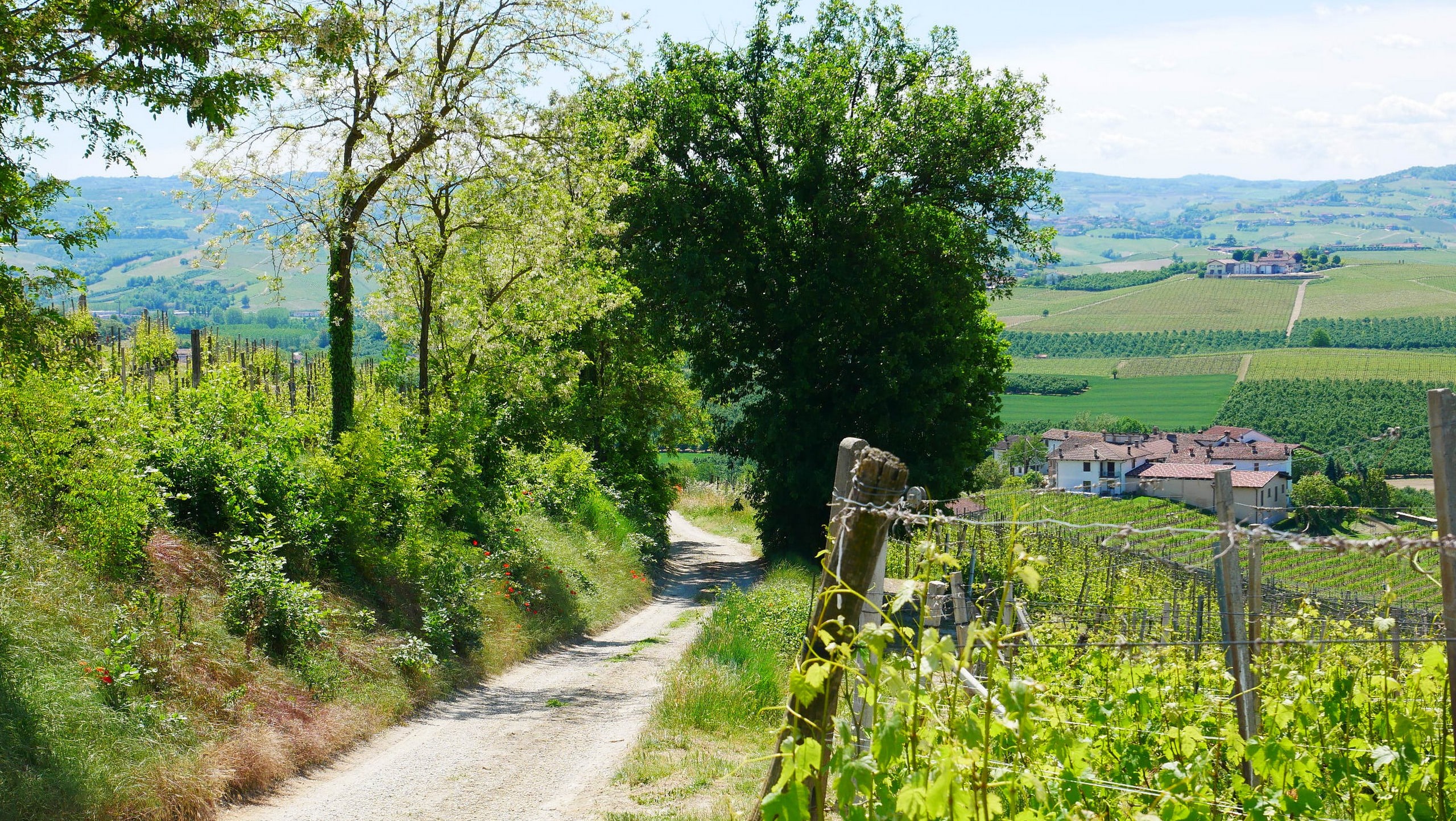 5-Day Guided Barolo Bike Tour