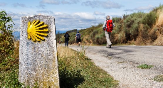 Walkers On Camino De Santiago Frances Route