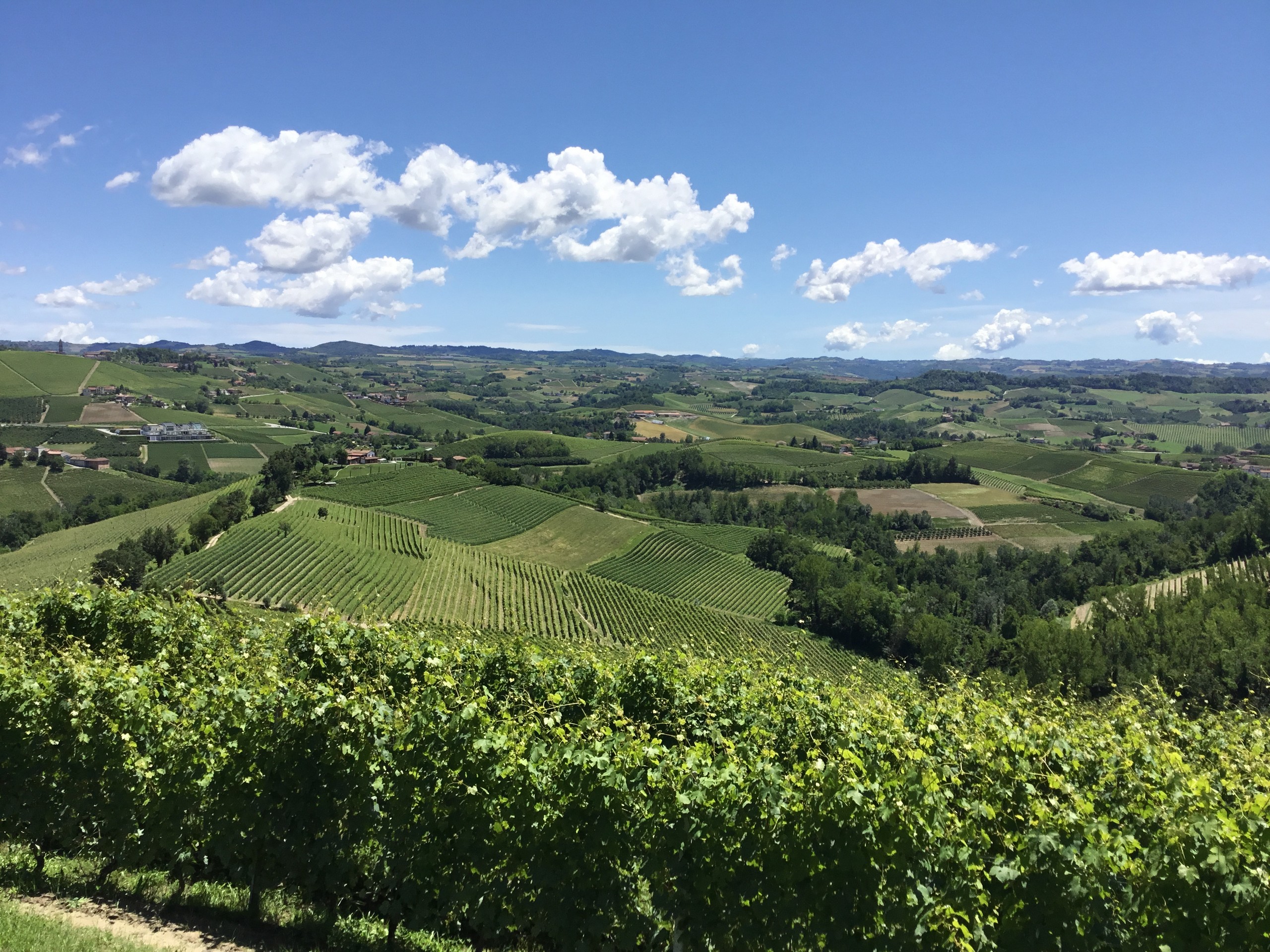 Beutiful views along the biking path in Piedmon