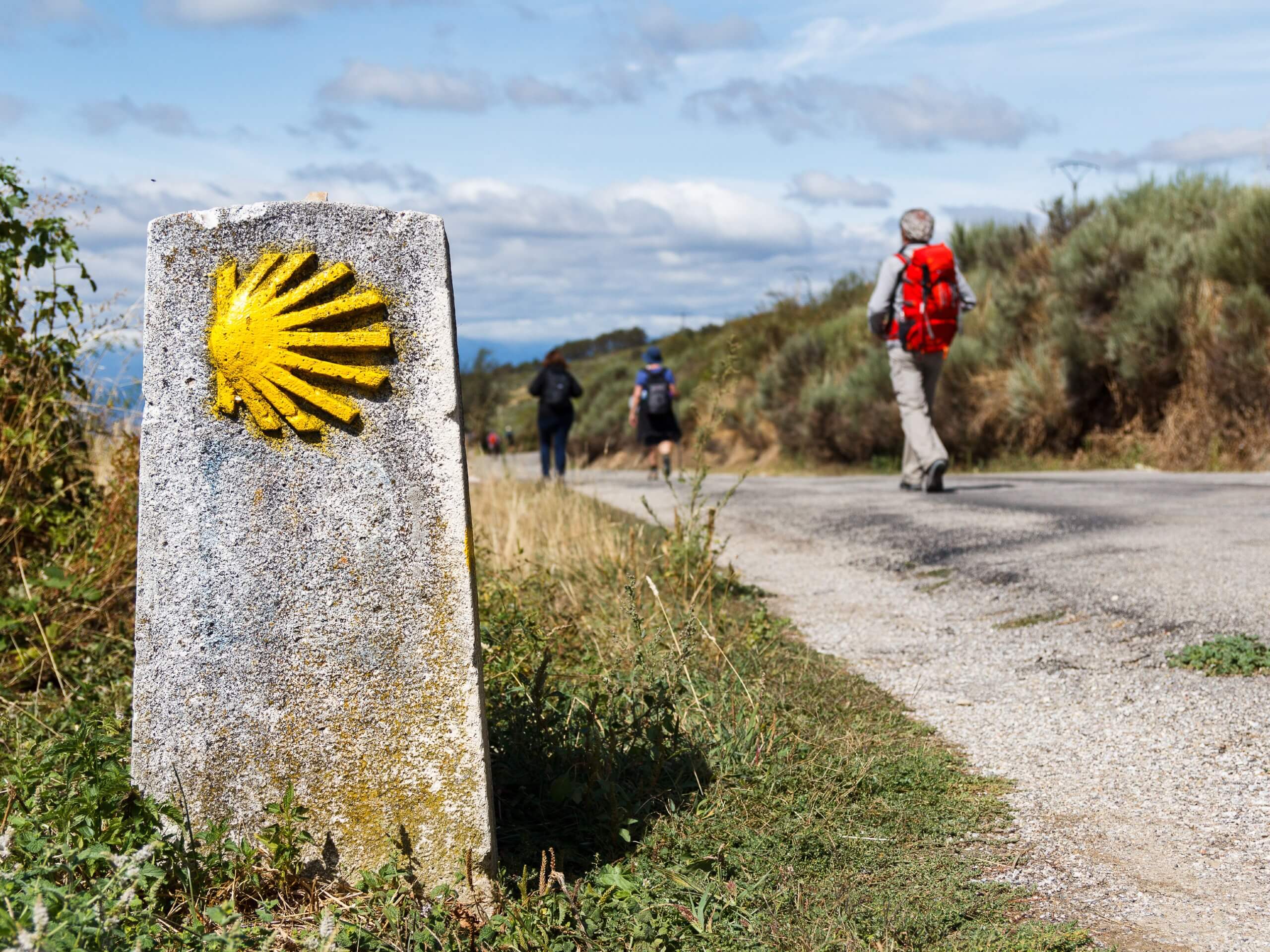 Hikers walking on the Camino Frances route
