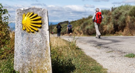 Hikers walking on the Camino Frances route