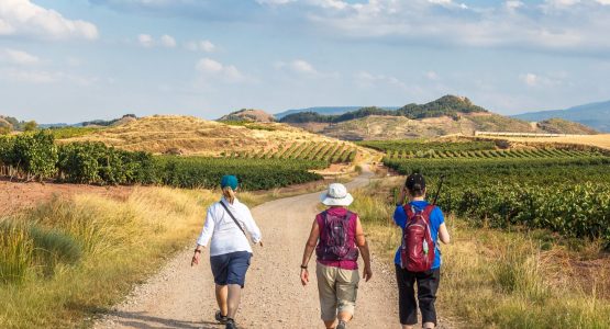 Three walkers walking among the vineyards on Camino de Santiago route