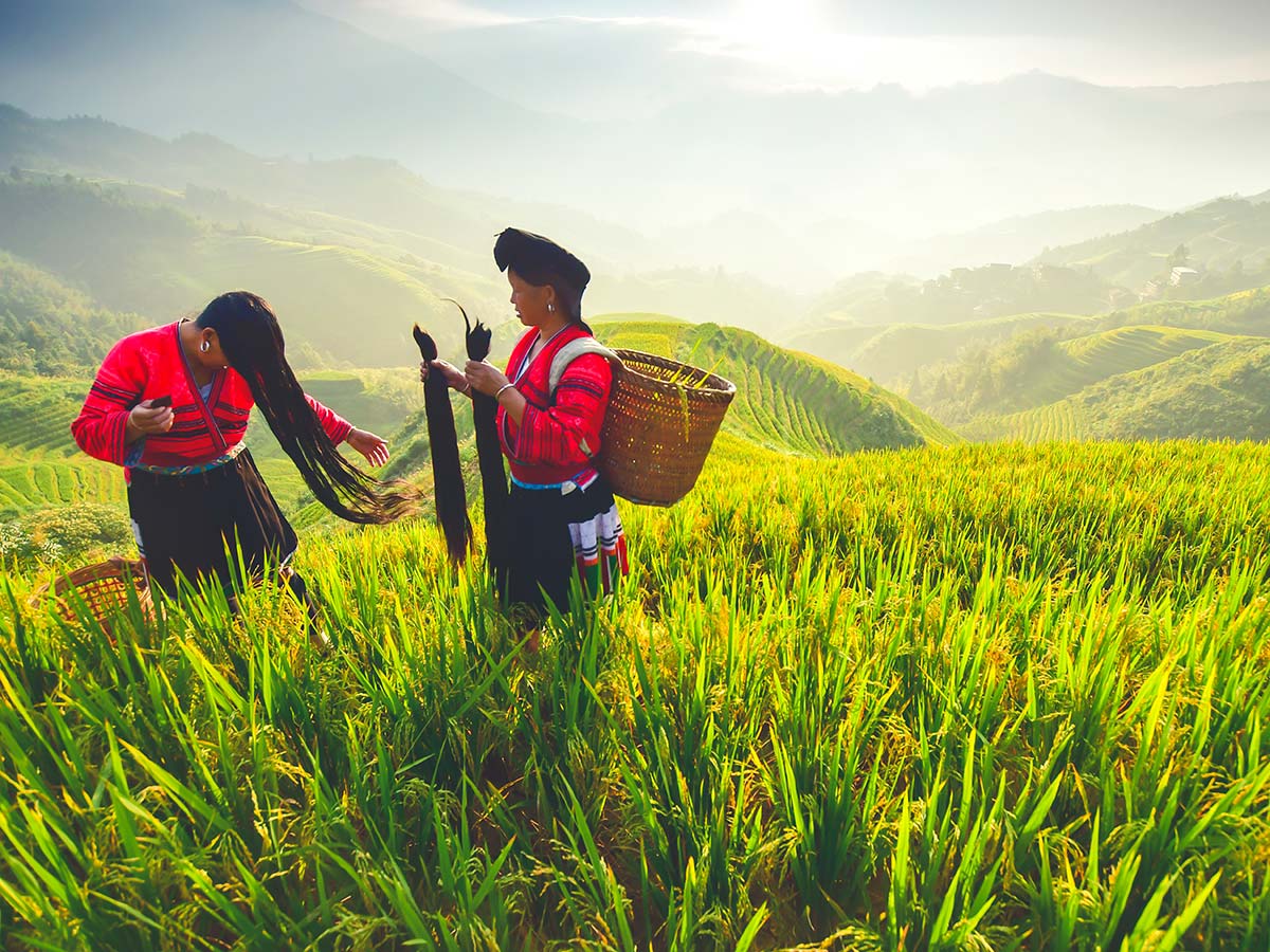 During the Wild China Tour you will have a chance to see the beautiful fields of Longji