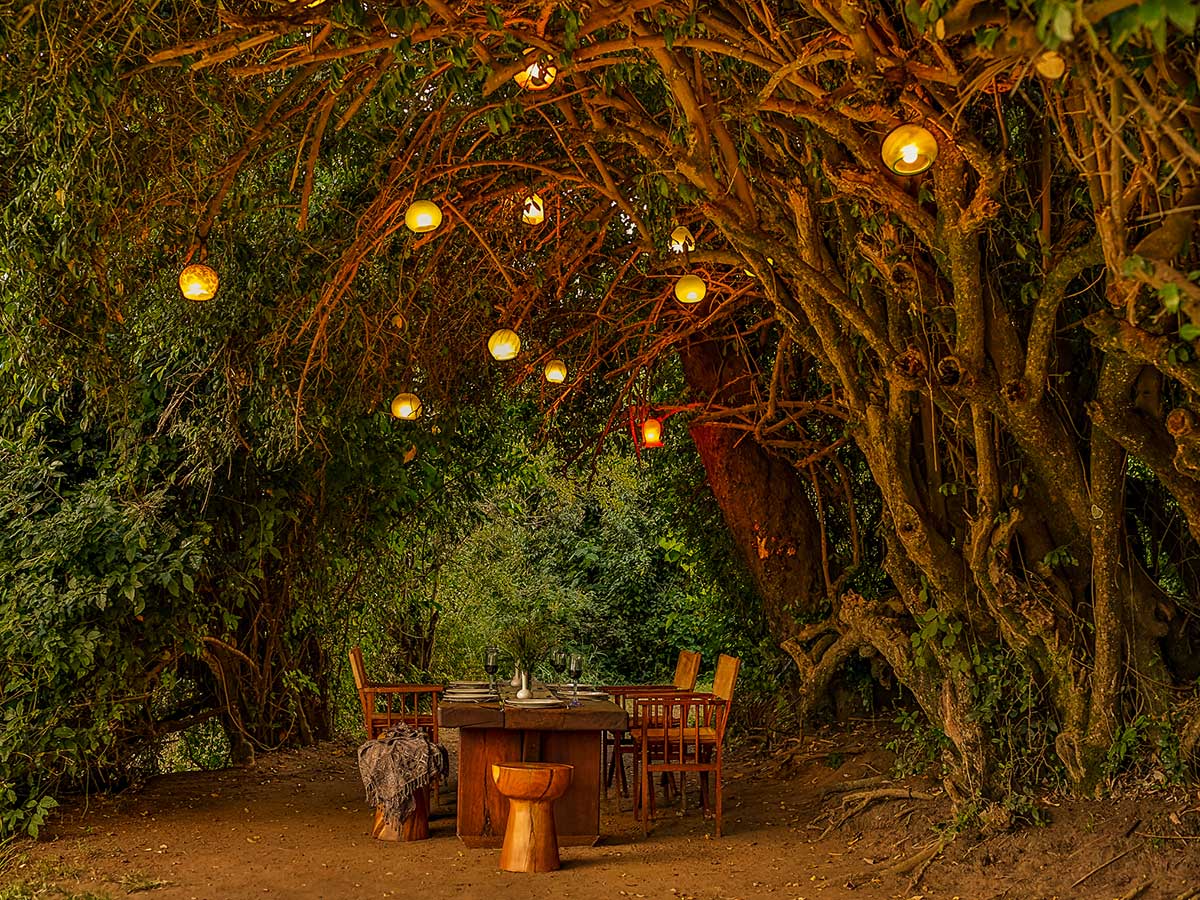 Table set for lunch on the Great Migration Safari Tour in Tanzania