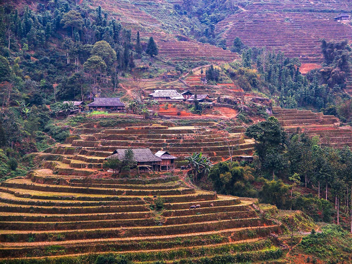 North Vietnam Mountain Trek trekking through the Vietnamese farmlands