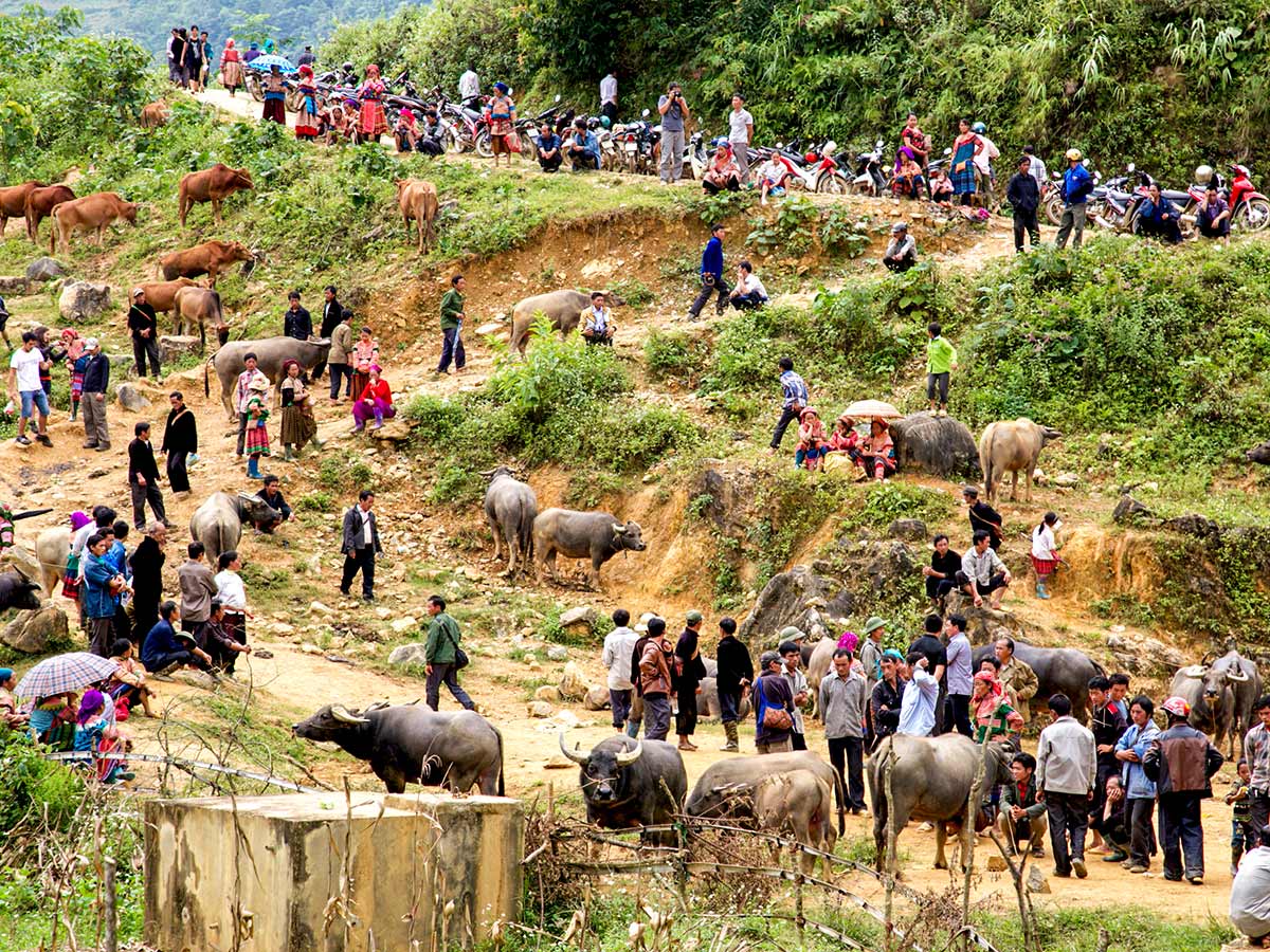 Village in Northern Vietnam as seen on North Vietnam Mountain Trek