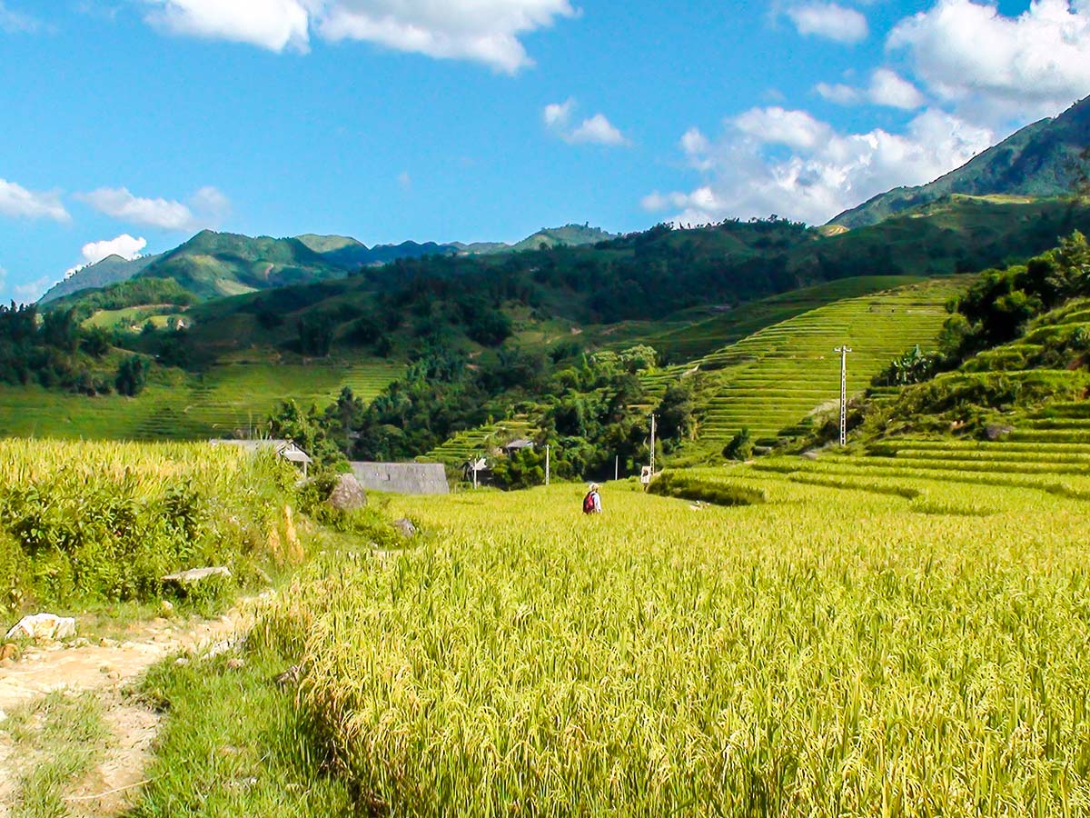 Beautiful farmlands seen on North Vietnam Mountain Trek