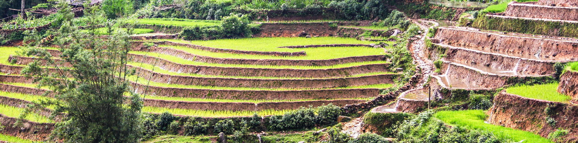 Cycling up to Laos in Vietnam
