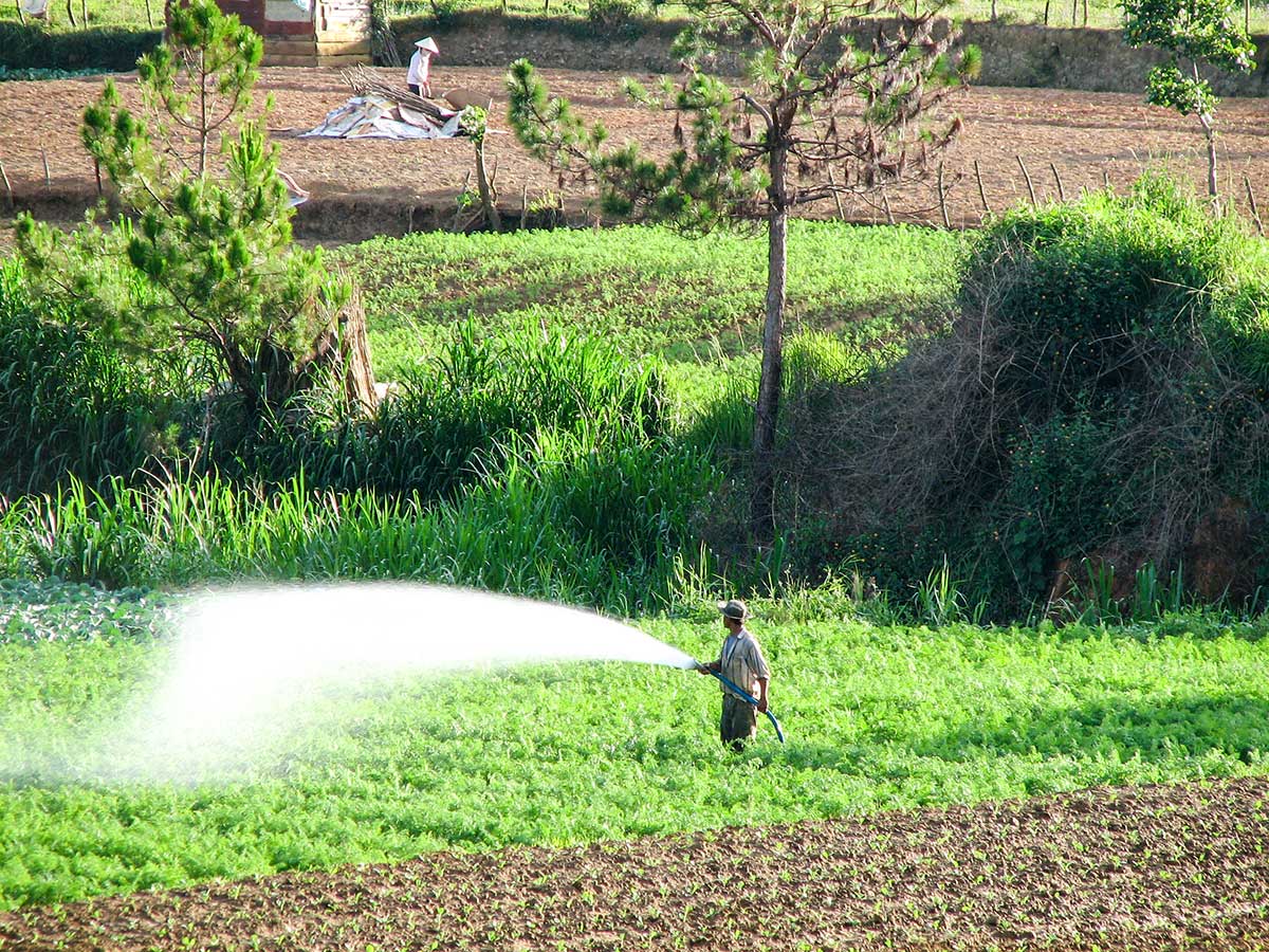 Farmland in Dalat as seen on Vietnam Tropical Journey Tour