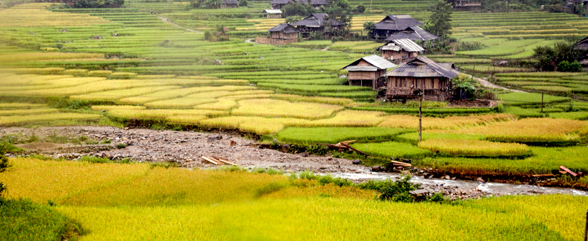 Vietnam Mountain Biking Tour