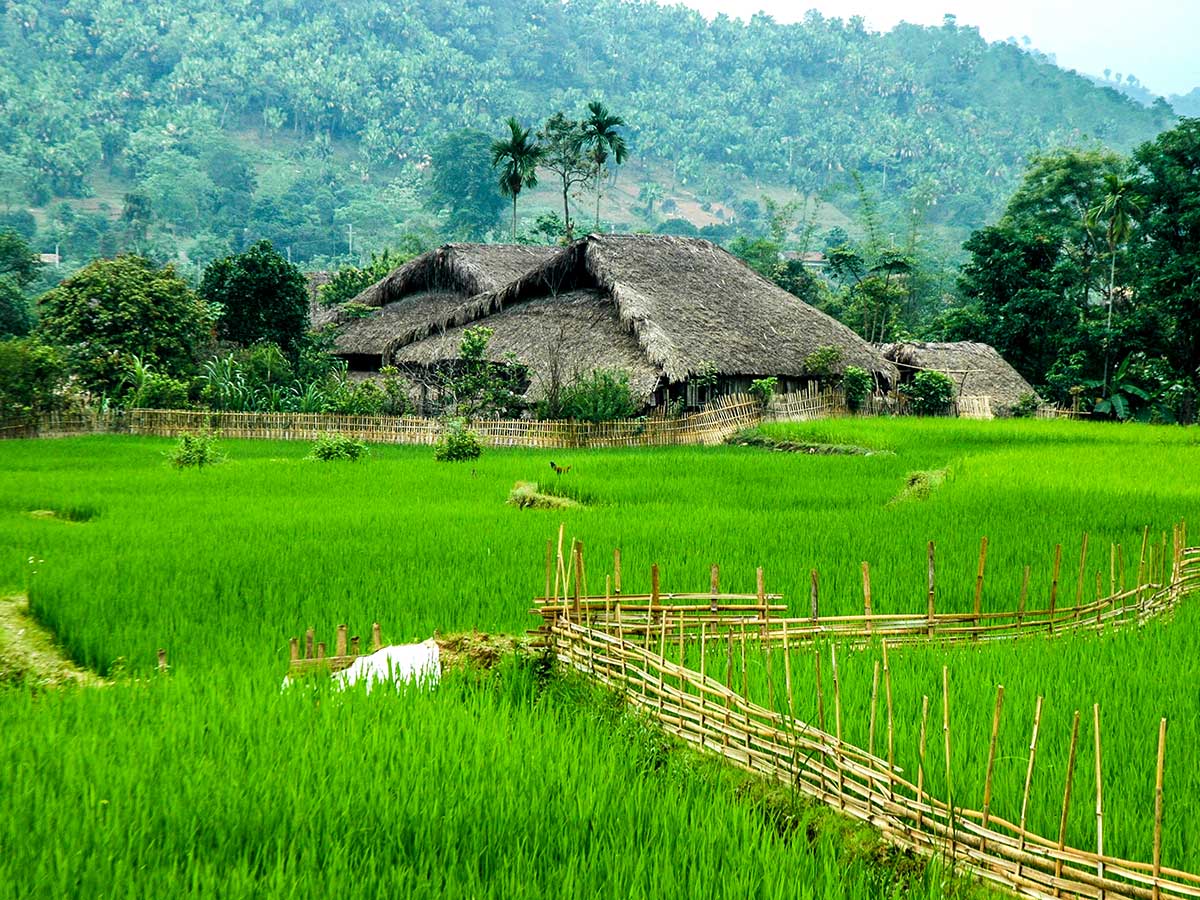 Sapa terraces seen on The Best of Vietnam Trekking and Cruising Tour