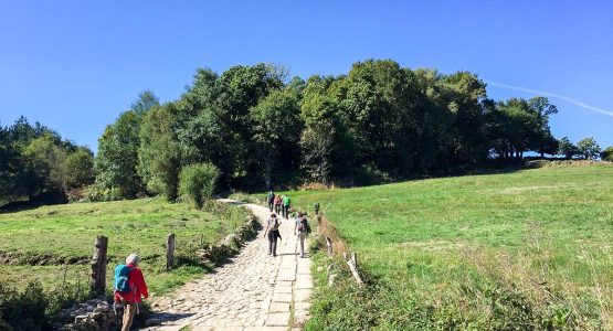 Group of hikers on Camino de Santiago Portuguese Way