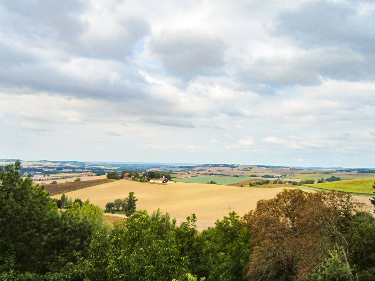 Countryside near Santiago de Compostella on French Camino Trek from Sarria