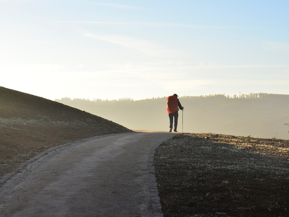 Lone hiker on Camino de Santiago seen on French Way Trek last 100 km